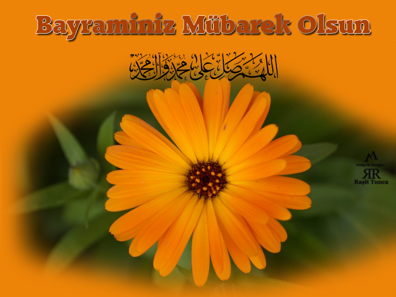 [Image: Ramazan_Bayrami_E-Kartlari_V1_%2B%25287%2529.png]