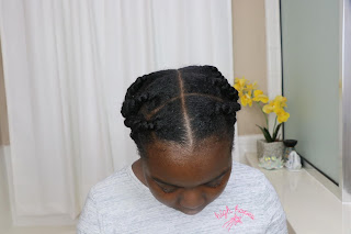 How to do a Twist Roll and Tuck on Natural Hair | DiscoveringNatural