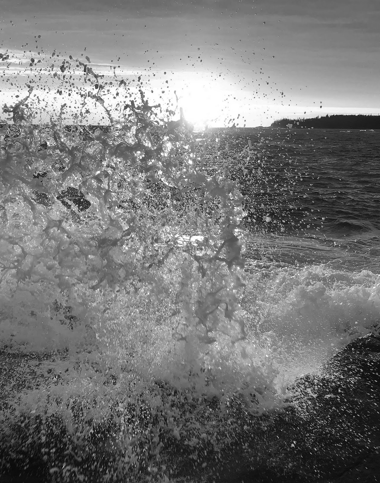 Vinalhaven Sightings