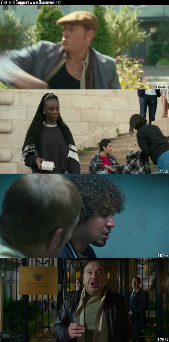 The Last Mercenary 2021 BRRip 720p 480p Dual Audio Hindi English Full Movie Download