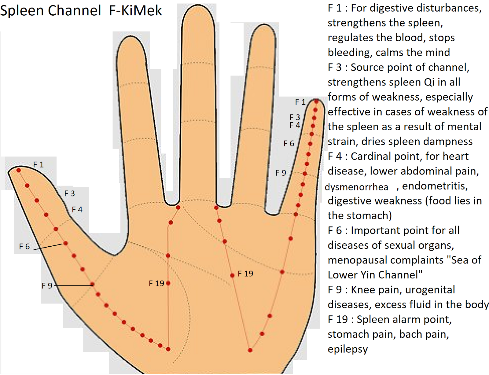 PABLOHEILPRAXIS KOREAN HAND ACUPUNCTURE