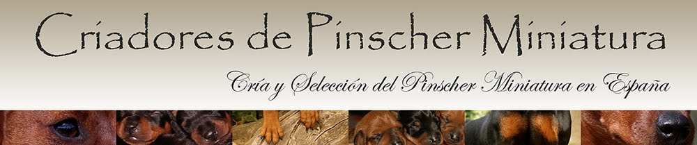 Criadores de Pinscher Miniatura