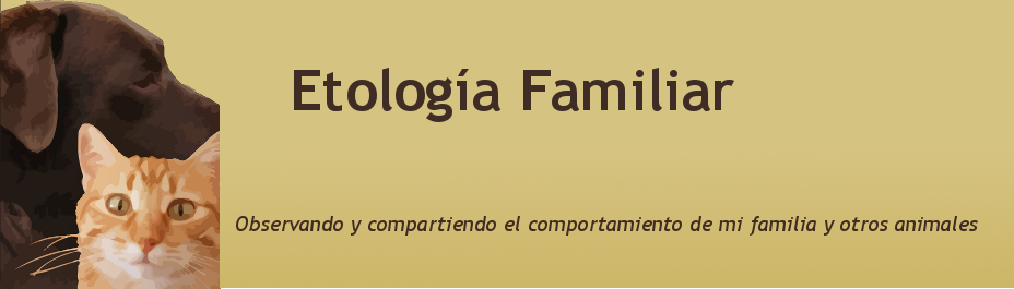 Etología Familiar