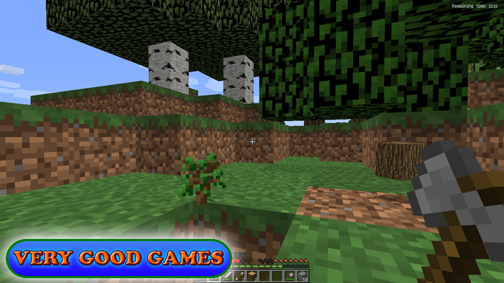 Minecraft game screenshot -  a sapling