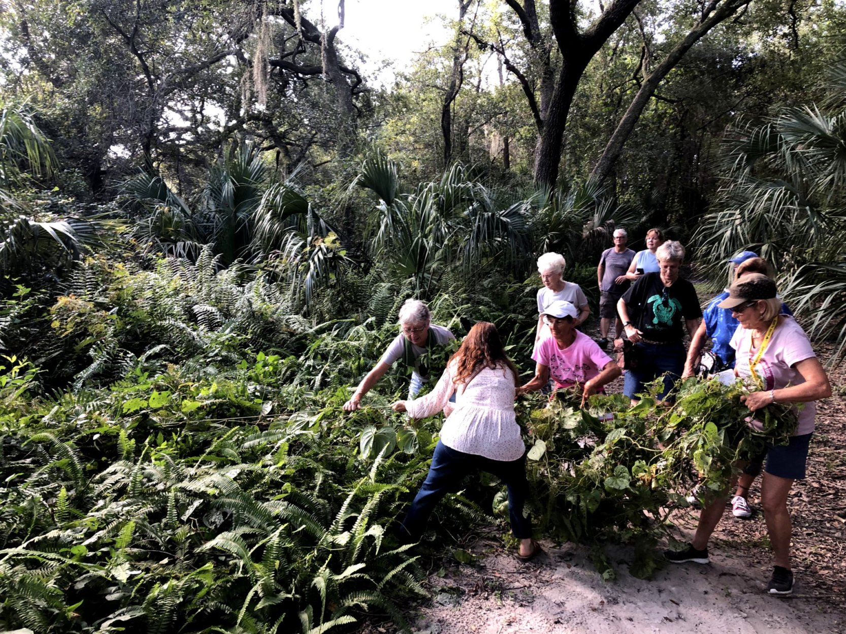 Safety Harbor Garden Club