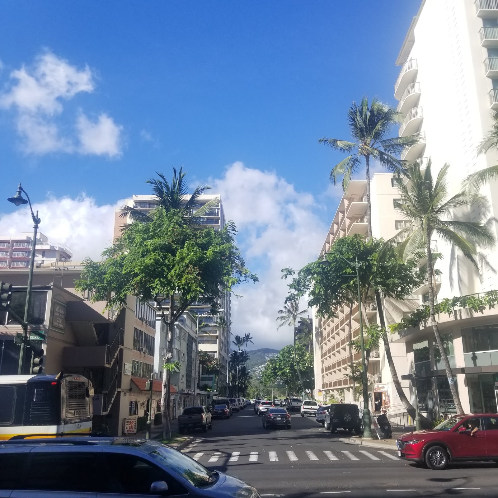 HideOut Honolulu, Hawaii chichicho