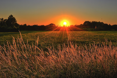 brown-and-green-grass-field-during-sunset-1237119.jpg