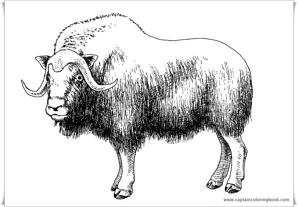 Your Seo Optimized Title