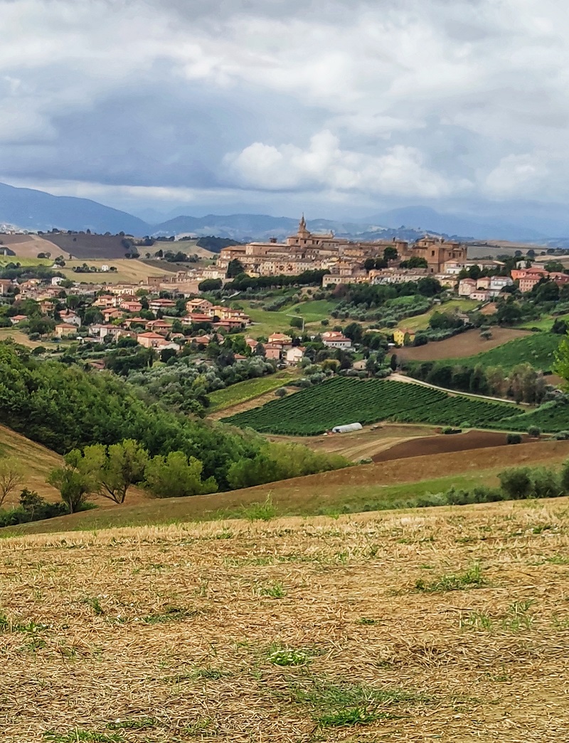 corinaldo panorama