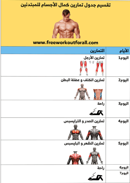 جدول تمارين كمال الاجسام للمبتدئين