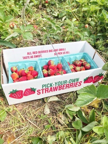 Life with Ashley Nicole, xo