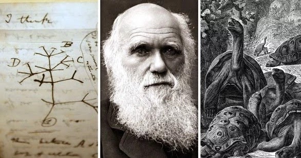 El Origen de las Especies | Charles Darwin
