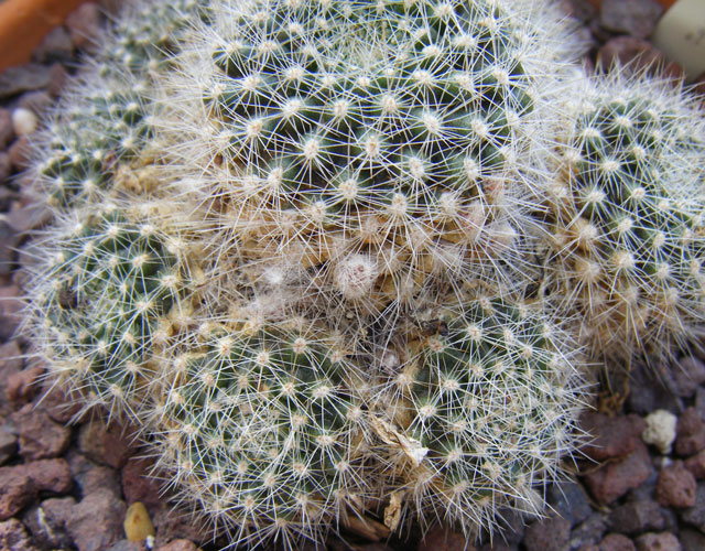 Seguro que estas fotos os son familiares por desgracia a muchos de