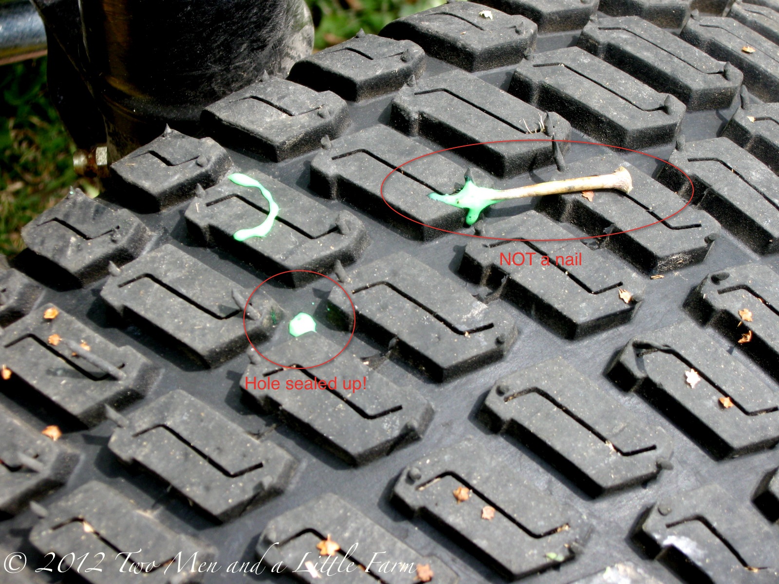 Two Men and a Little Farm MESQUITE THORN, FLAT TIRE, AND GREEN SLIME