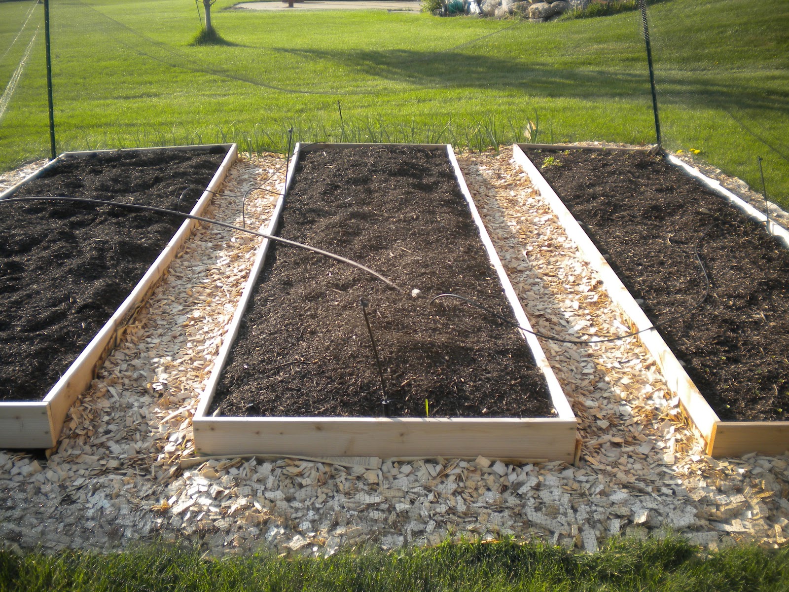 to My Random Garden Converting Old (flat) Garden to Raised beds