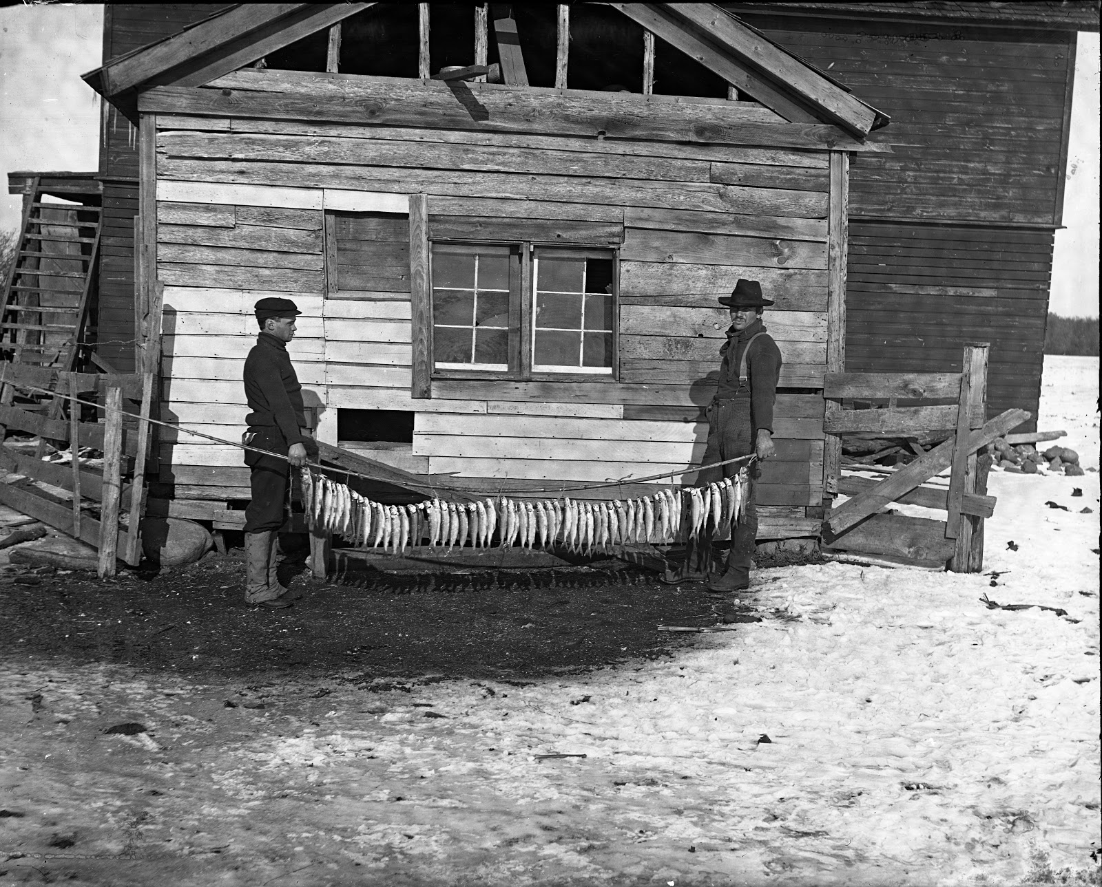 Pieces of Wild Rose, WI Area Genealogy and My Own Lots of fish