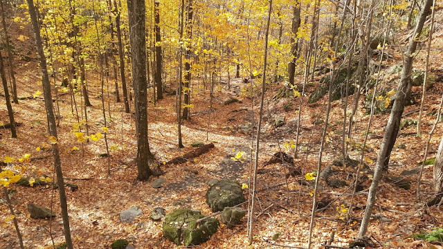 Sentier de la boucle du mont Chauve