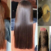 The Mixture Of Egg, Honey, And Castor Oil Can Help You To Stops Your Hair Loss Naturally And Quickly!