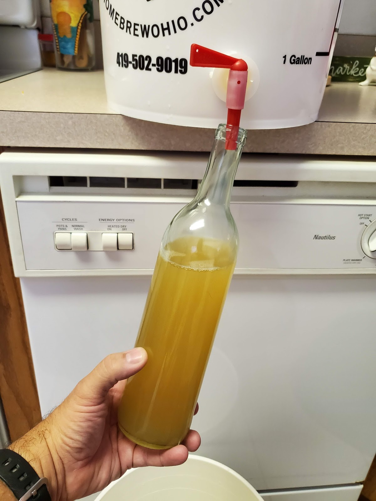 How to make Pineapple Beer at home aka.. Tepache