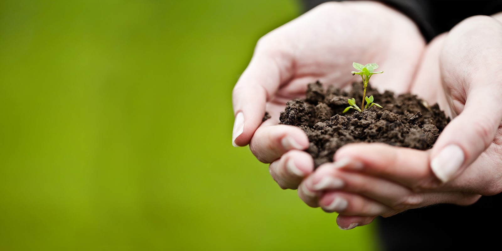 здоровая почва. весенняя культивация почвы. Soil почва. земельное плодородие. плодородие почвы.