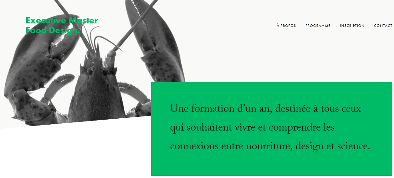 NOTRE SITE PARTENAIRE : "foodesign"