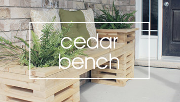 Aaa Lawn Garden Shoots Choosing The Right Cedar