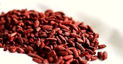 ¿Los suplementos de arroz de levadura roja Pueden dañar el Hígado? 