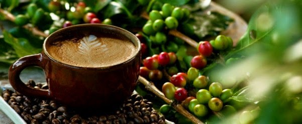 Would you like a cup of coffee? 45 photos to the inspired