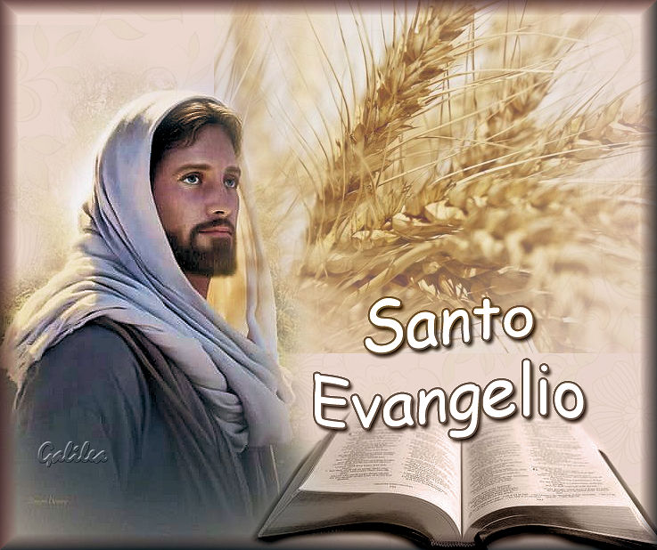 Corazón de Jesús en Vos Confío Santo Evangelio 10 de agosto 2020