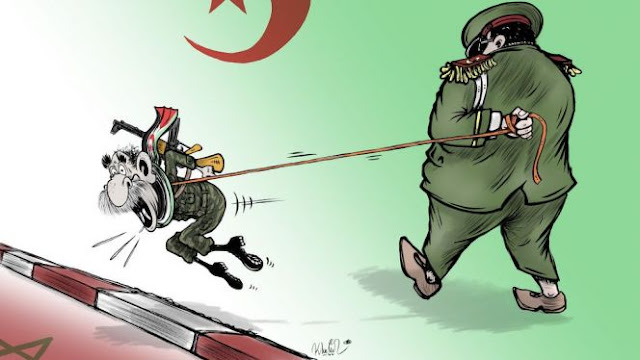 أنشأت الجزائر جبهة البوليساريو وجعلتها أداة ضد المغرب
