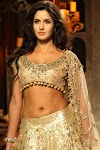 Katrina Kaif Deep Navel Show Photos