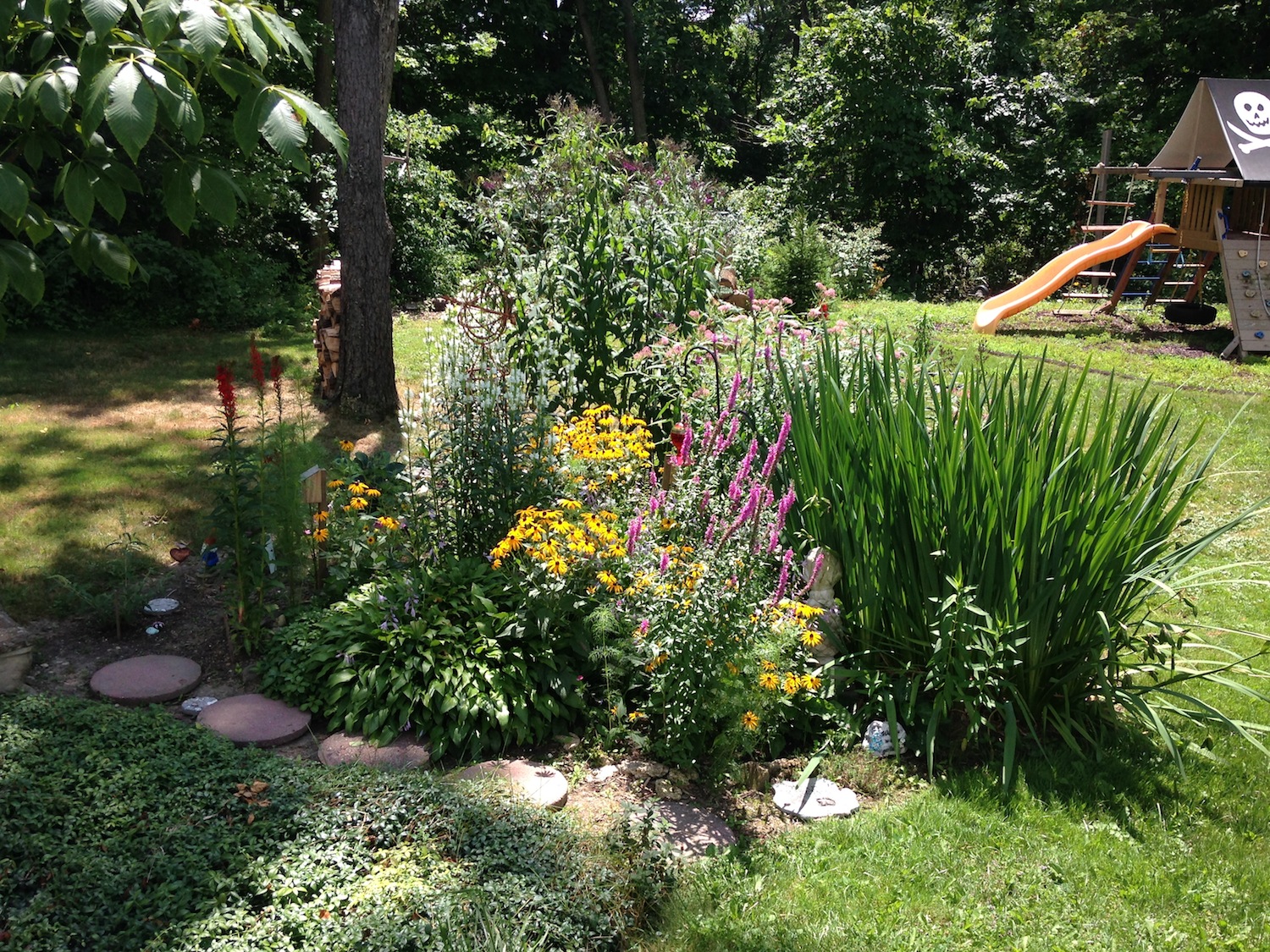 Happy Birthday Margarita Engle September 2 Happy Birthday Author