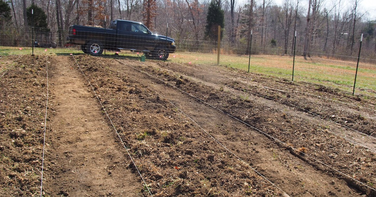 Budding and Blooming: Spring Garden Plans: Wide Row Gardening