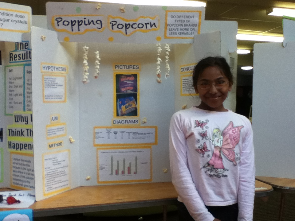 A6's Awesome Blog: Science Fair Projects