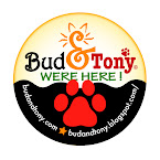 Bud & Tony's LUCKY BUTTON