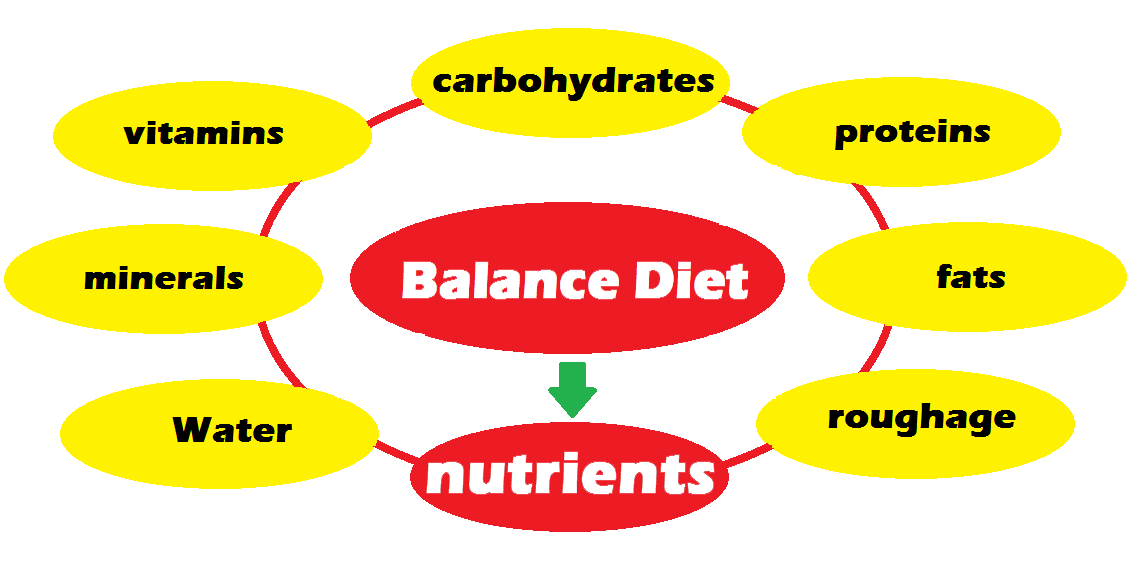 Balance Diet, What is Balance Diet, Nutrients and its components