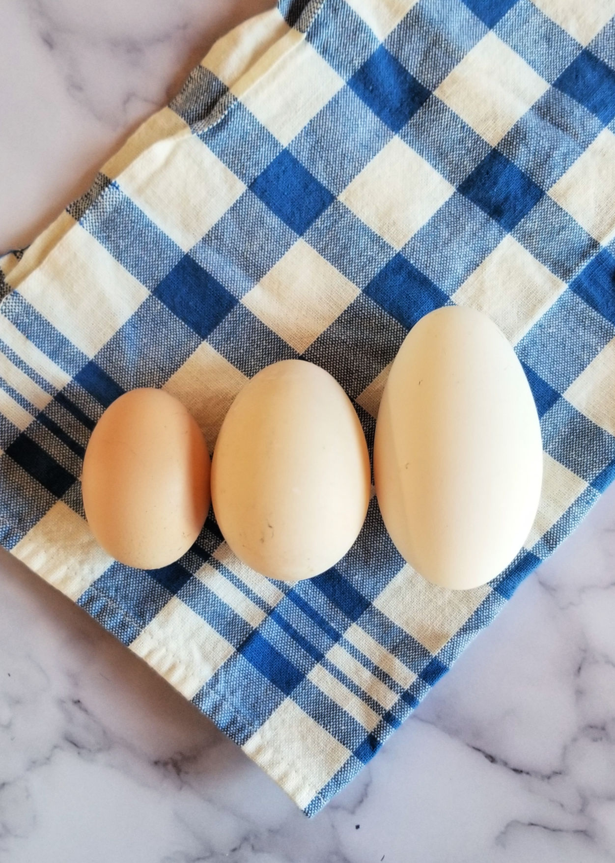 All About Goose Eyesight - Fresh Eggs Daily® with Lisa Steele