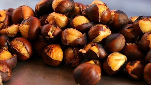 Kestane faydaları nelerdir? Kestanenin besin değerleri, kestane neye iyi gelir? kestanenin sağlığa yararları ve zararları hakkında bilgi. Kestane faydaları nelerdir? Kestanenin besin değerleri, kestane neye iyi gelir? kestanenin sağlığa yararları ve zararları hakkında bilgi.