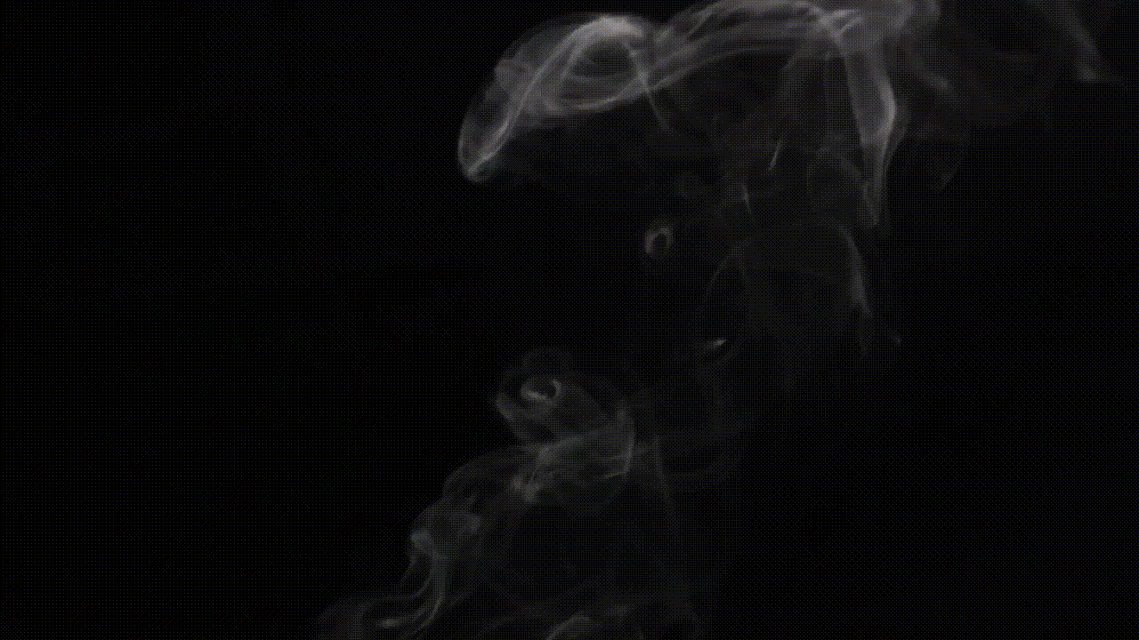 Видео черный дым. Дым. Эффект дыма. Дым на черном фоне. Анимированный дым.