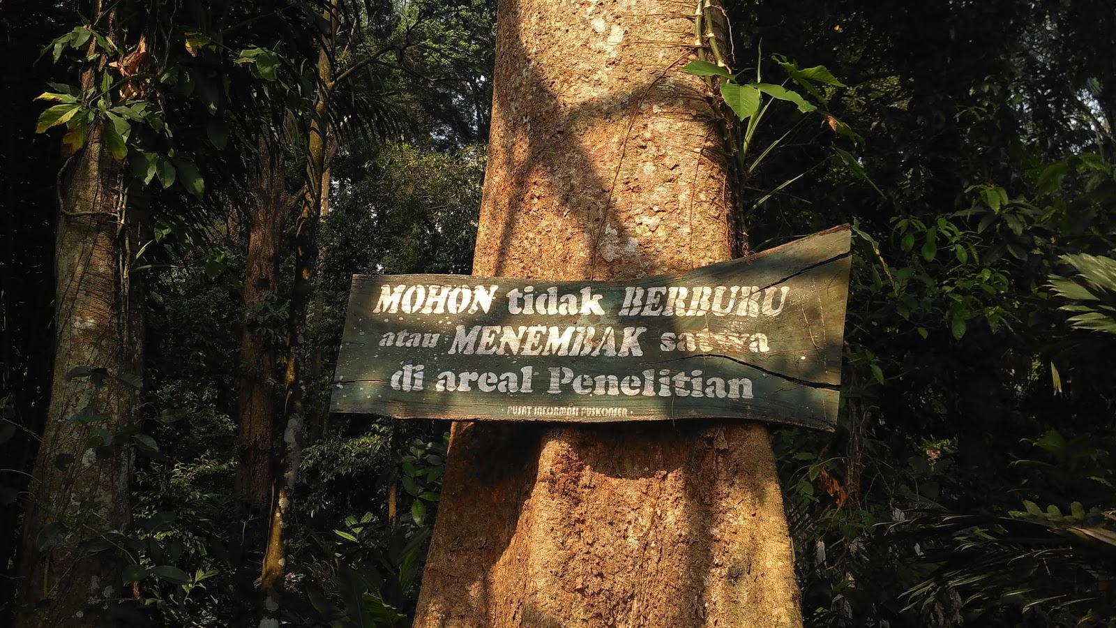 Danau Situ Gede (CIFOR) Bogor