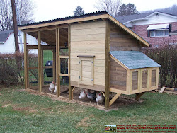 chicken coop building build plans m101 construction shed success garden frank hi