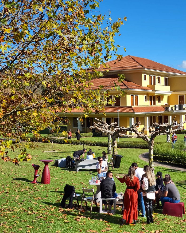 Wine Garden Miolo o jardim do vinho mais charmoso do Vale dos Vinhedos