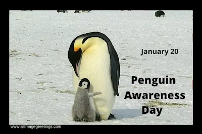world penguin awareness day 2021