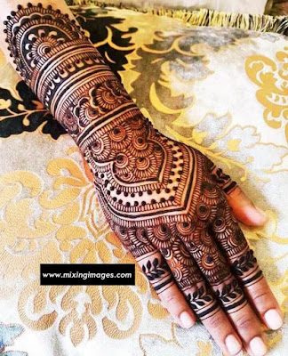 Henna Design Images For Holi