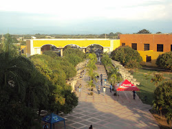 Universidad Popular Del Cesar