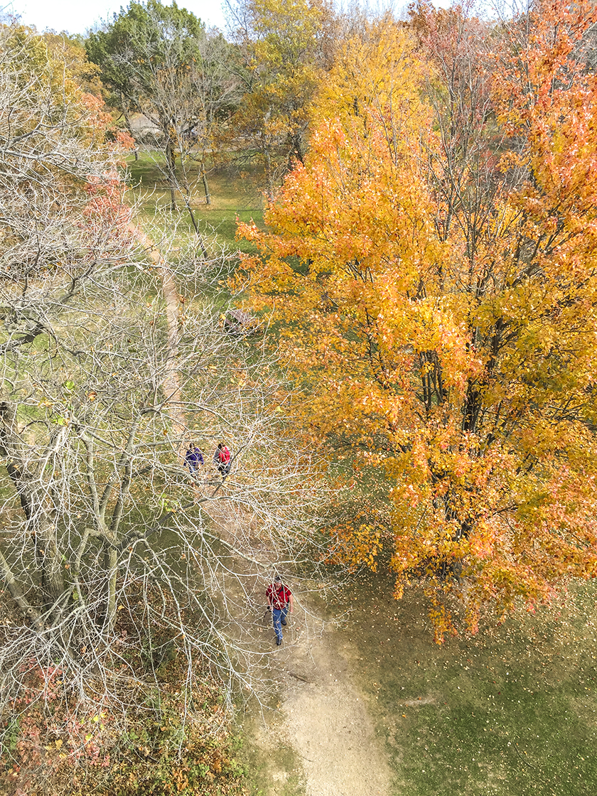 View from the West Tower at Blue Mound State Park