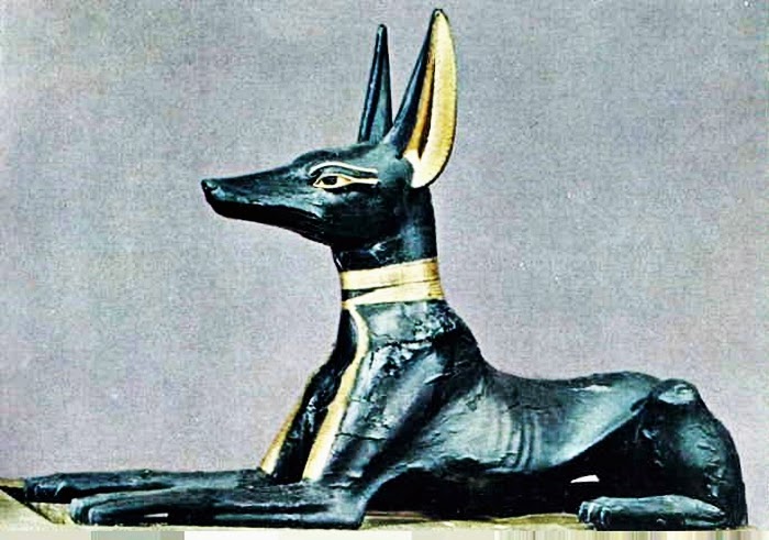 Анубис это история 5. Фараонова собака Анубис. Собаки на египетских фресках. Собаки фараонов в древнем Египте. Фараонова собака статуэтка.