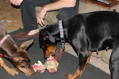Stealing Mama's gift? Photo by Trisha Field