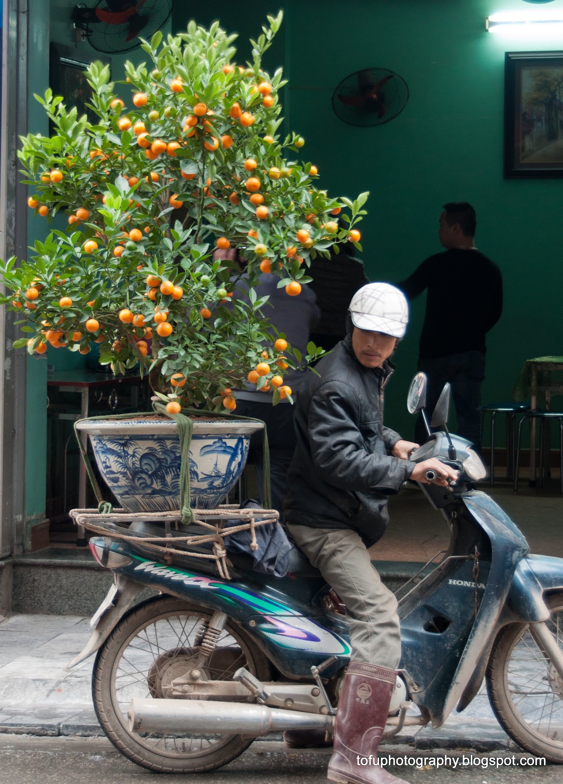 Tofu Photography: Carrying a tree on the back of a motorbike!
