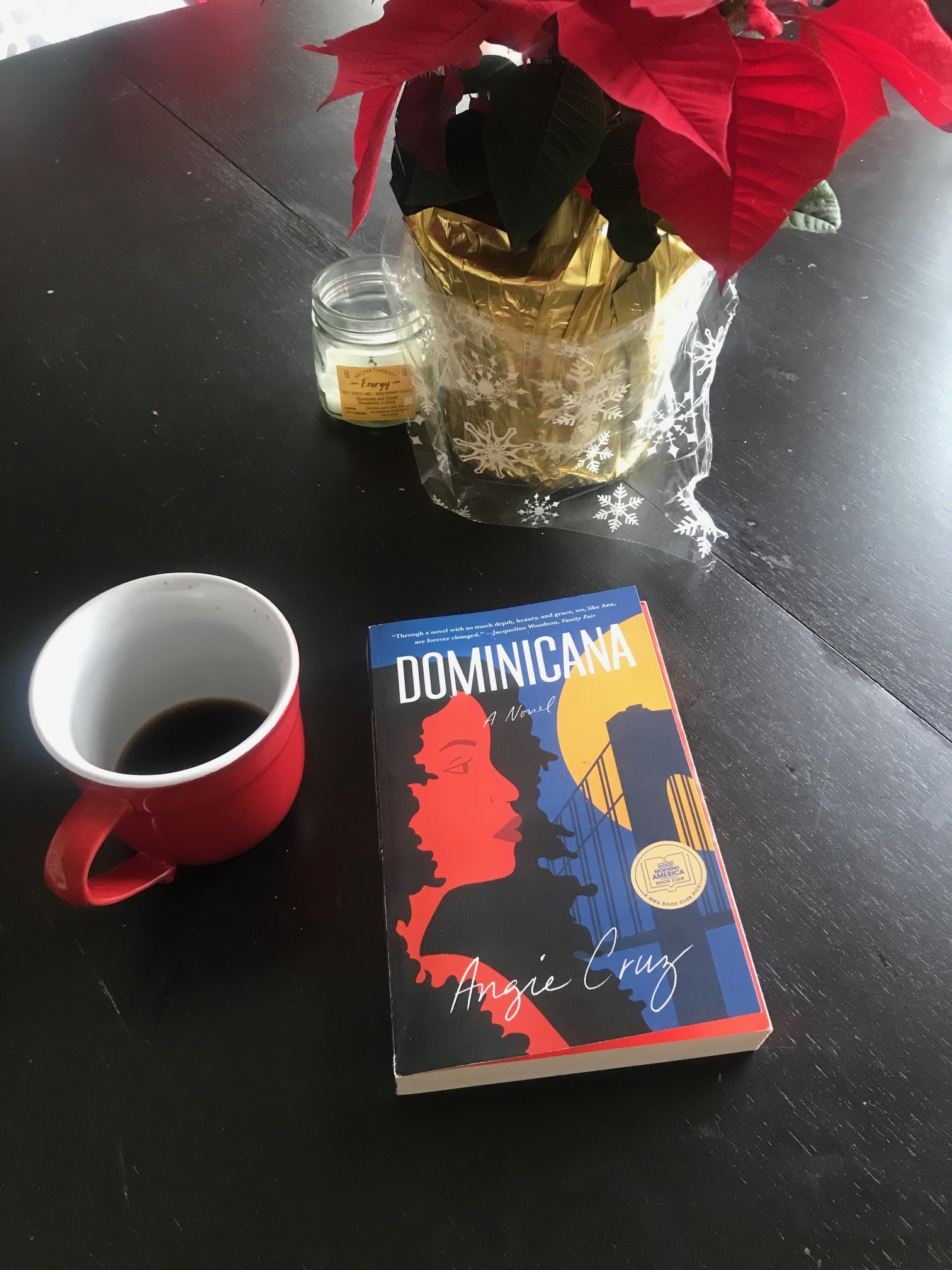 A Review Of Angie Cruzs Dominicana By Damian Dressick 